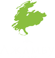 Фирменный логотип ресторана Джамбу